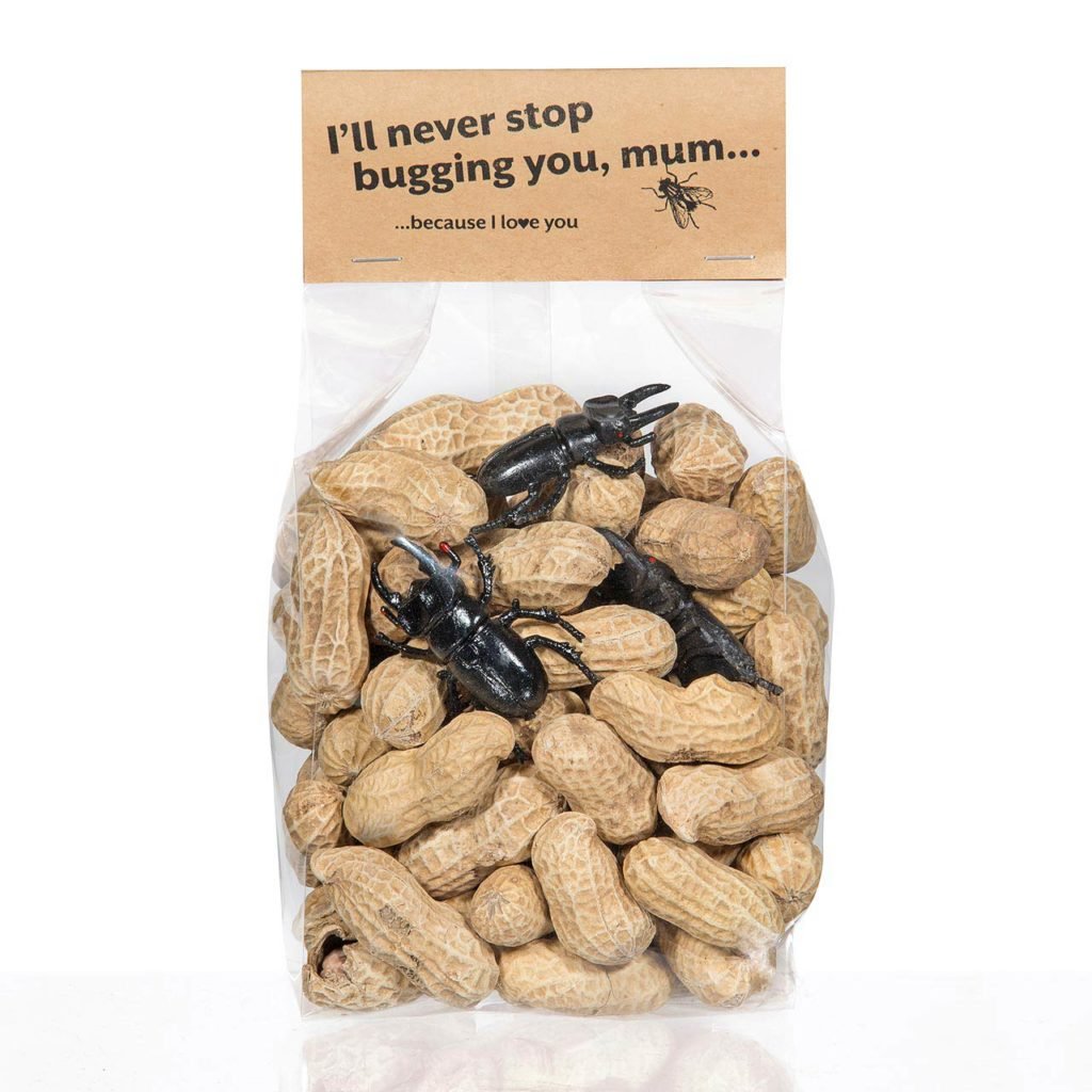 Patsy Bug Patty the peanut party pooper insect bug